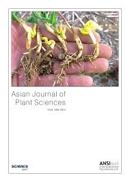 Image result for Afrobrunnichia erecta