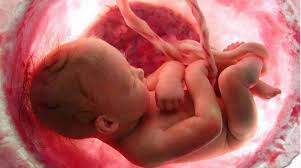 Com Quantas Semanas De Gestacao O Bebe Tera Cabelo Unhas E Mais