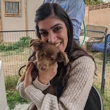 Joe Lemus and Rebecca Miller's Wedding Website