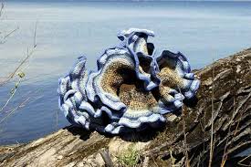 Image result for crocheting adventures with hyperbolic planes
