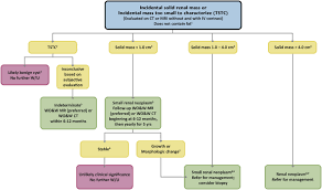 Incidental Solid Renall Mass Or Incidental Mass Tstc Radiology Mri Mass