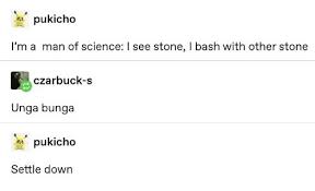 Unga bunga *insert cars car* sky: Pukicho Tumblr Funny Memes Pics