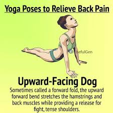 Pin On Yoga