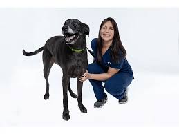 Jamie Cisneros | VCA Shoreline Veterinary Referral and ...