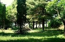 Monumentul realizat în 1977 de sculptorului marius butunoiu se află la cca. Mormantul Lui Mihai Viteazul Turda