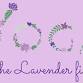 Yoga in the Lavender