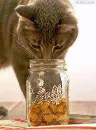 10 Homemade Treats For Your Cat Cat Treats Homemade Homemade Cat Treats Recipes Homemade Cat Food