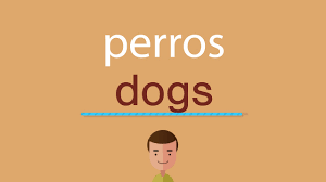 Como Se Dice Perros En Ingles Youtube
