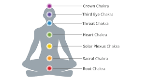 This results in a new phenotype (the physical. What Are Chakras Meaning Location And How To Unblock Them