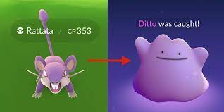 Ecommerce brand ditto helped us create an omnichannel customer experience that actually makes sense for customers. — adrian thompson, cio at specsavers. Pokemon Go How It Looks To Catch Ditto