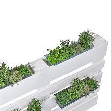 Bacs à fleurs en béton. Bac A Plantes Geli Pour Palette Euro Acheter Chez Bauhaus