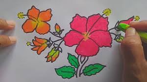 ← kumpulan mewarnai gambar bunga indonesia. Cara Menggambar Bunga Kembang Sepatu Youtube
