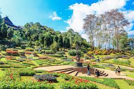 Maybe you would like to learn more about one of these? 5 Best Landscaping Companies In San Antonio