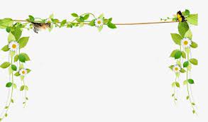 حبل كرمة جديدة جميلة الحدود كرمة Clipart جميلة طازج Png وملف Psd للتحميل مجانا Vine Border Vines Green Png