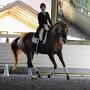 Profile Picture of Teresa Stewart Dressage (@teresastewartdressage.com) on Google