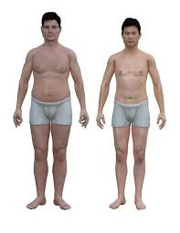 Average American Male Body American Man Vs Japanese Man Male Body Human Body Shape French Man