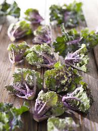 A brussels sprout recipe for people who think they might not like them. Blume Sprossen Kale Brussel Sprout Cross 200 Feinste Samen Bulk Ebay