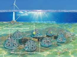 Prior to its official opening, it was known as the q7 wind. De Rijke Noordzee Versterking Onderwaternatuur In Windparken Op Zee