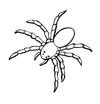 Some of the coloring page names are iron spider in infinity war coloring coloring for kids, ultimate spiderman iron spider coloring for kids adults 2020, iron spider coloring four spidermen coloring, iron spider drawing on clipartmag, iron spider coloring at colorings to and color, iron spider coloring of spider man. Spiders Arachnids Coloring Pages And Printable Activities