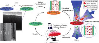 Maybe you would like to learn more about one of these? Dna Sensing Technology Using A Diamond Like Carbon Coated Aao Membrane Download Scientific Diagram