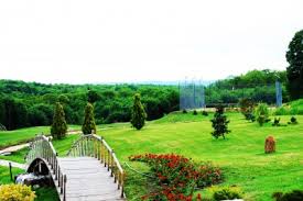 Či sú to pobyty pri mori, plavby loďou, poznávacie zájazdy. Sungarden Golf Spa Resort Available Rooms
