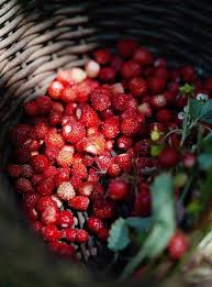 Fraises Des Bois Fraises Des Bois Panier De Fruits Chute Des Feuilles