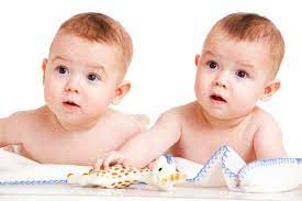 Son Identicos Los Gemelos Identicos I Afan Por Saber