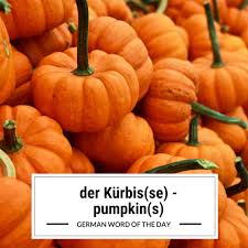 Learn German Online Basic German Words German For Beginners German Words German Language Learning Germa Learn German Learn German Online German Words
