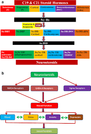 The Impact of the 5α-Reductase Inhibitors (5α-RIs)