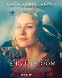 Very excited to share that for all Australian viewers Penguin Bloom is  coming to Netflix this Thursday. #penguinbloom