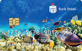Wśród licznej oferty swoich produktów, bank pko ma do zaproponowania również. Karta Dla Uzytkownika Pko Bp