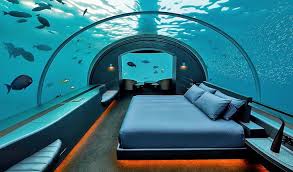 Resorts world sentosa, singapore, singapore. 8 Best Underwater Hotels Planetware