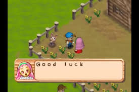 The Baby Harvest Moon Game Harvest Moon 64 Harvest Moon