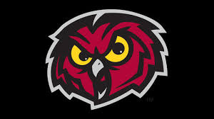 Image result for temple owls