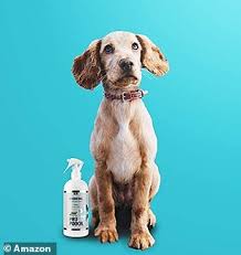 Well you're in luck, because here they come. This Pro Pooch Detangler Spray Helps Keep Pups Hair Silky And Smooth Through Winter Daily Mail Online