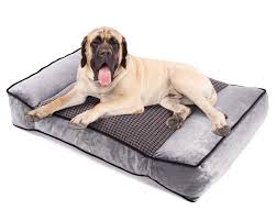 At hayneedle, where you can buy online while you explore our room designs and curated looks for tips, ideas & inspiration to help you along the way. Pecute Large Dog Bed 102x69cm Shredded 20 Cm Memory Foam Orthopaedic Pet Bed For Good Support Warm Plush Cool Silk Double Sided Design Four Seasons Available Removable Cover Washable Easy To Clean