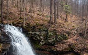 The scenery is spectacular, especially the june mountain camping: 17 Things To Do In Worlds End State Park Waterfalls Vistas And Where To Eat Uncovering Pa