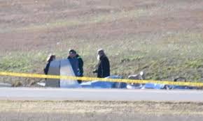 Posted sun, jan 5, 2020 at 8:15 pm ct. Two People Are Killed In Single Engine Plane Crash At Airport In Central Alabama Daily Mail Online