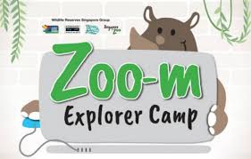 Zoo M Explorer Camp With Singapore Zoo Tickikids Singapore