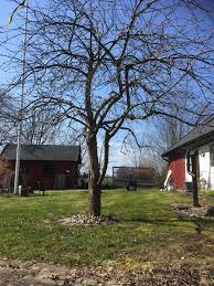 Image result for site:byggahus.se metallfärg