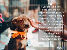 National dog day is a holiday that's observed on the 26th of august every year and helps people recognize the importance of dogs and how they impact our lives on a personal basis. International Dog Day 2021 History And How To Celebrate This Day Boldsky Com