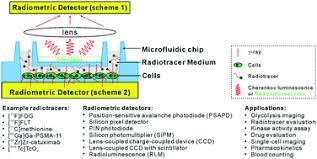 Pmt plus hv power supply and amplifier. Microfluidic Radiobioassays A Radiometric Detection Tool For Understanding Cellular Physiology And Pharmacokinetics Lab On A Chip Rsc Publishing