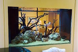 Fish Tank Interior Design Ideas Native Home Garden Design Fish Tank Decorations Aquarium Design Fish Aquarium Decorations