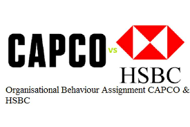 Unit 3 Organisational Behaviour Assignment Capco Hsbc