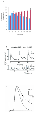 Avoid all cheaply assembled ultrasonic pest repellers. Evidence For Inhibition Of Cholinesterases In Insect And Mammalian Nervous Systems By The Insect Repellent Deet Bmc Biology Full Text
