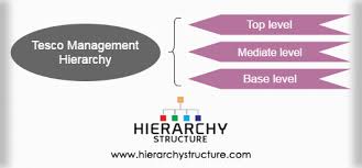Tesco Management Hierarchy Tesco Organizational Structure