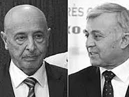 Constituency Councils providing too many services