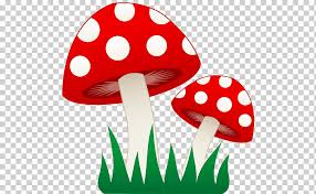seta comun sapo sapo s derechos de autor reino libre shiitake png klipartz seta comun sapo sapo s derechos de