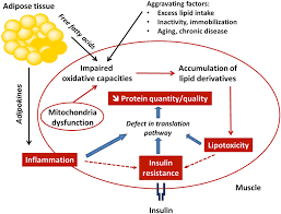 Towards A Multidisciplinary Approach To Understand And Manage Obesity And Related Diseases Clinical Nutrition