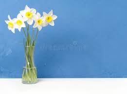 2 644 Opposite Text Photos Free Royalty Free Stock Photos From Dreamstime Past their prime they might still be fine in some dishes, but not in others. 2 644 opposite text photos free